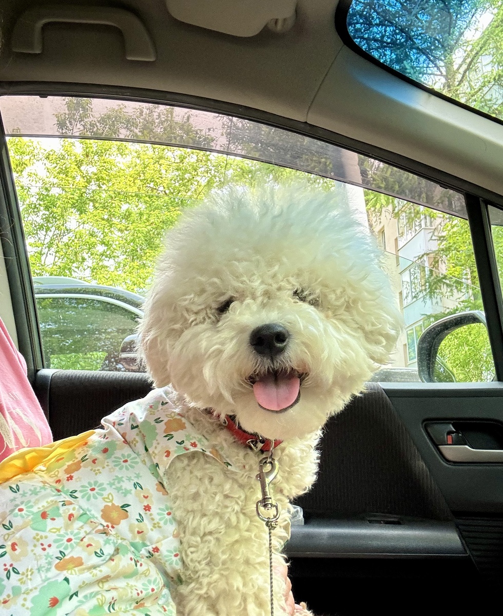 Эми пристегнулась 