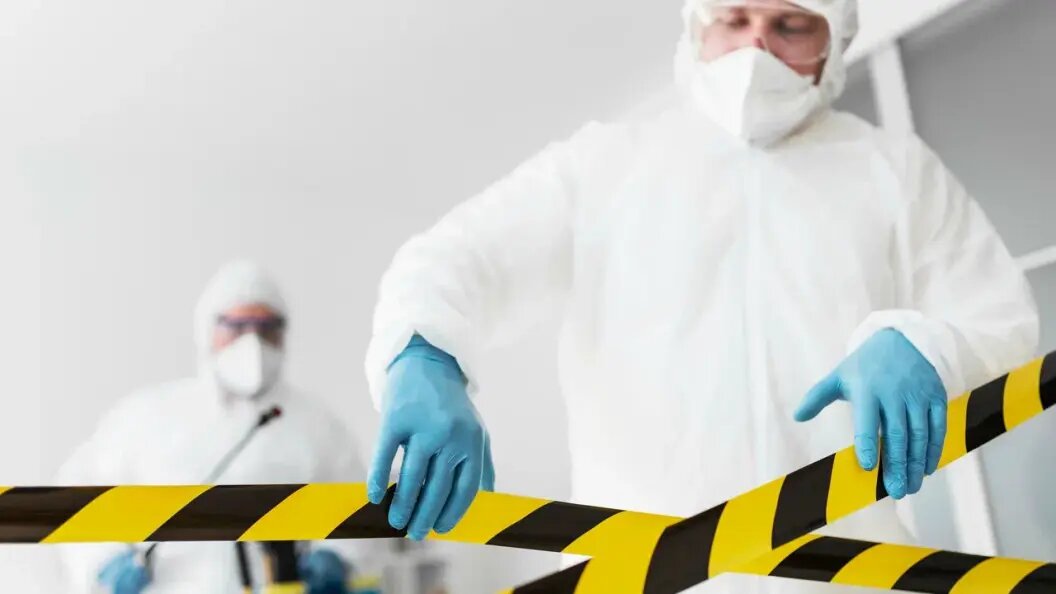    Фото: freepik.com