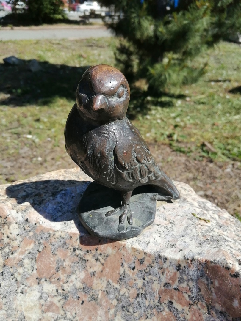 Не одноглазый, освещение в полдень подвело.