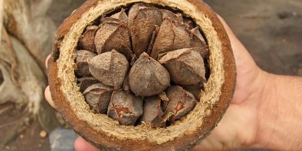 Фото из открытых исочников: 