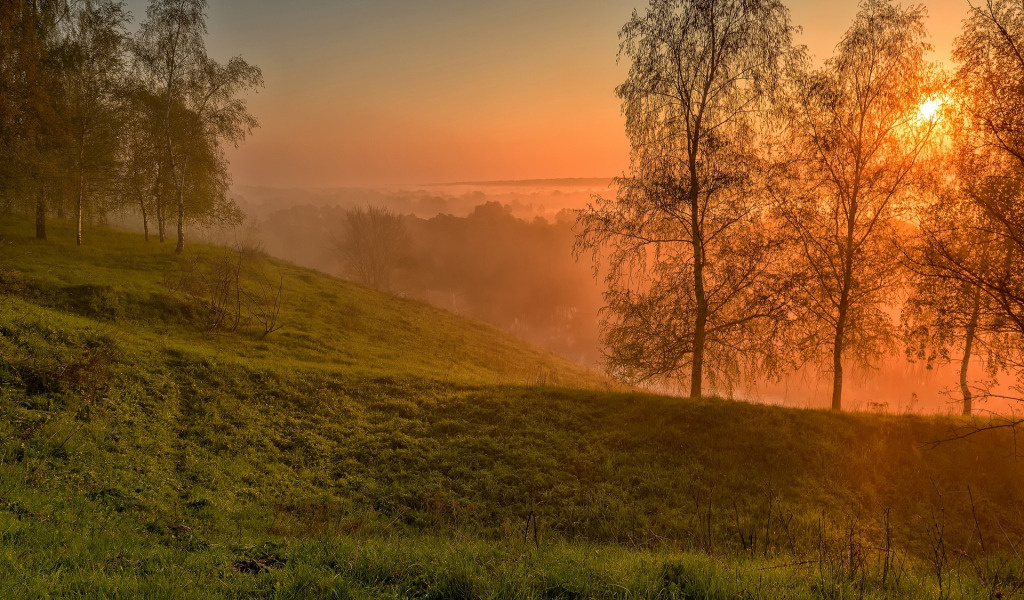 В природе всё прекрасно