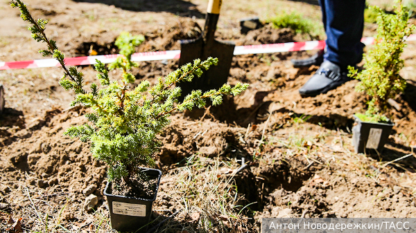     Фото: Антон Новодережкин/ТАСС   
 Текст: Рафаэль Фахрутдинов
