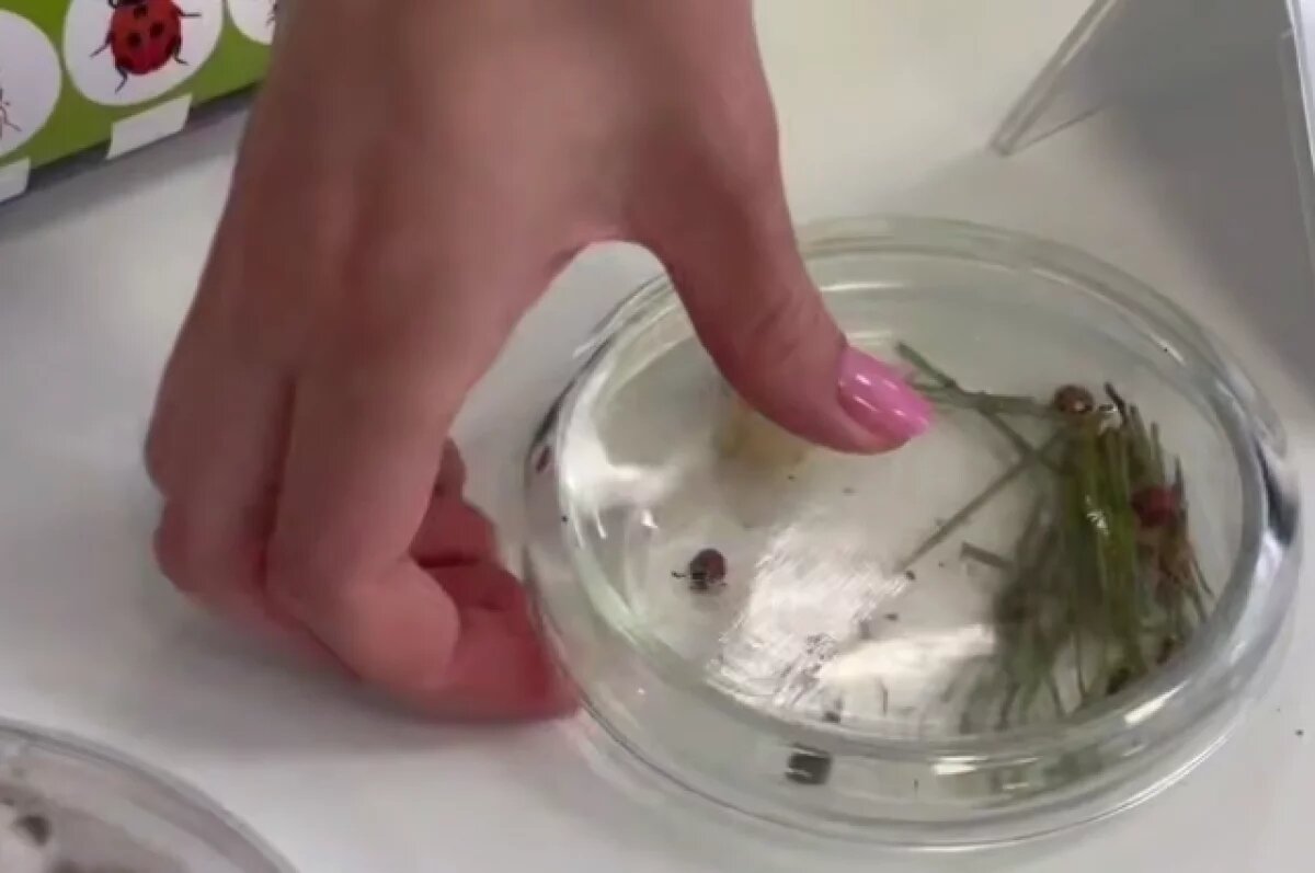    Губернатор Кубани встретился в КГУ с молодыми инноваторами