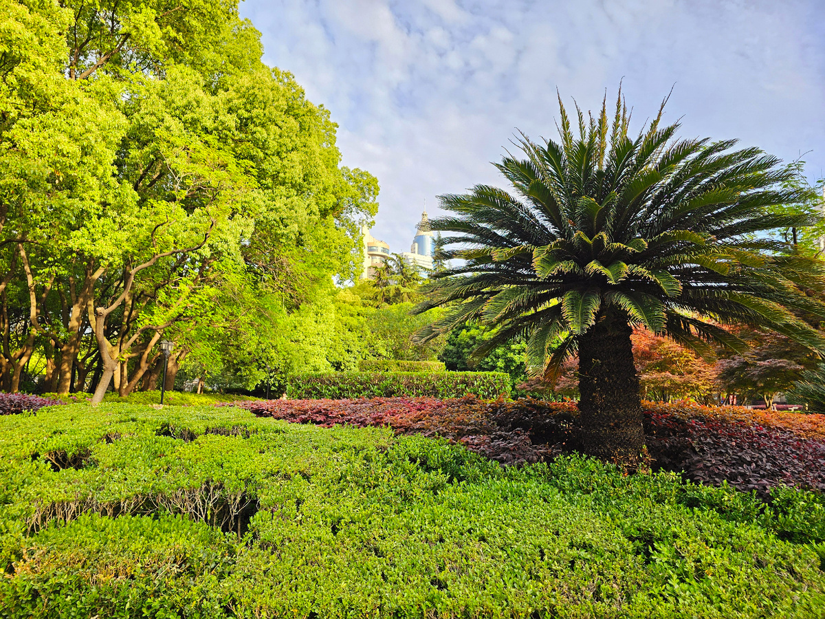 Народный парк, фото автора