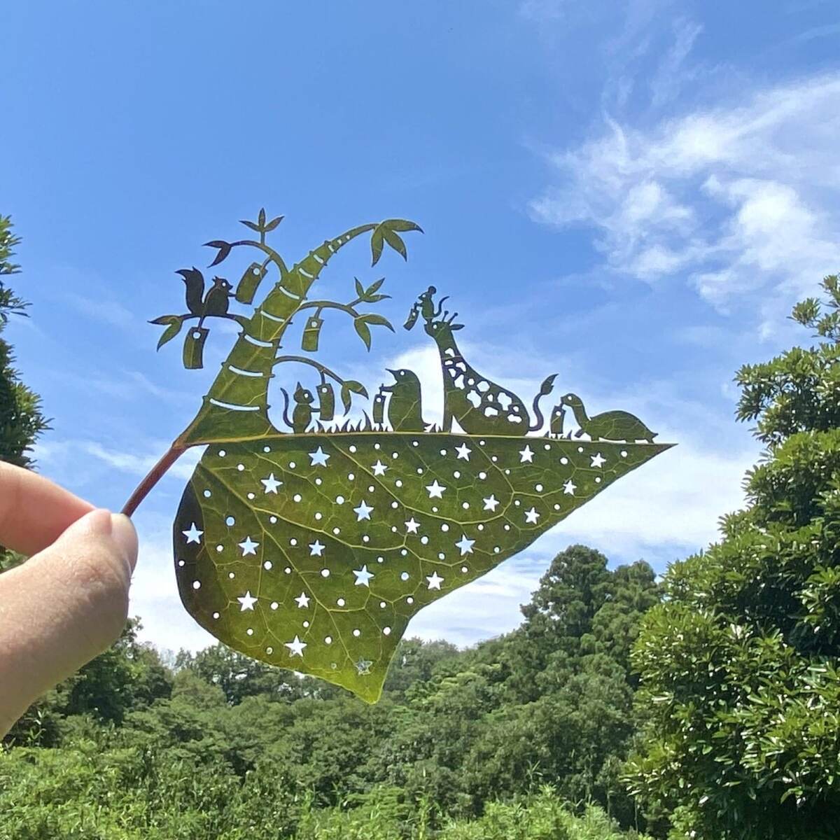 ��������: lito-leafart.com