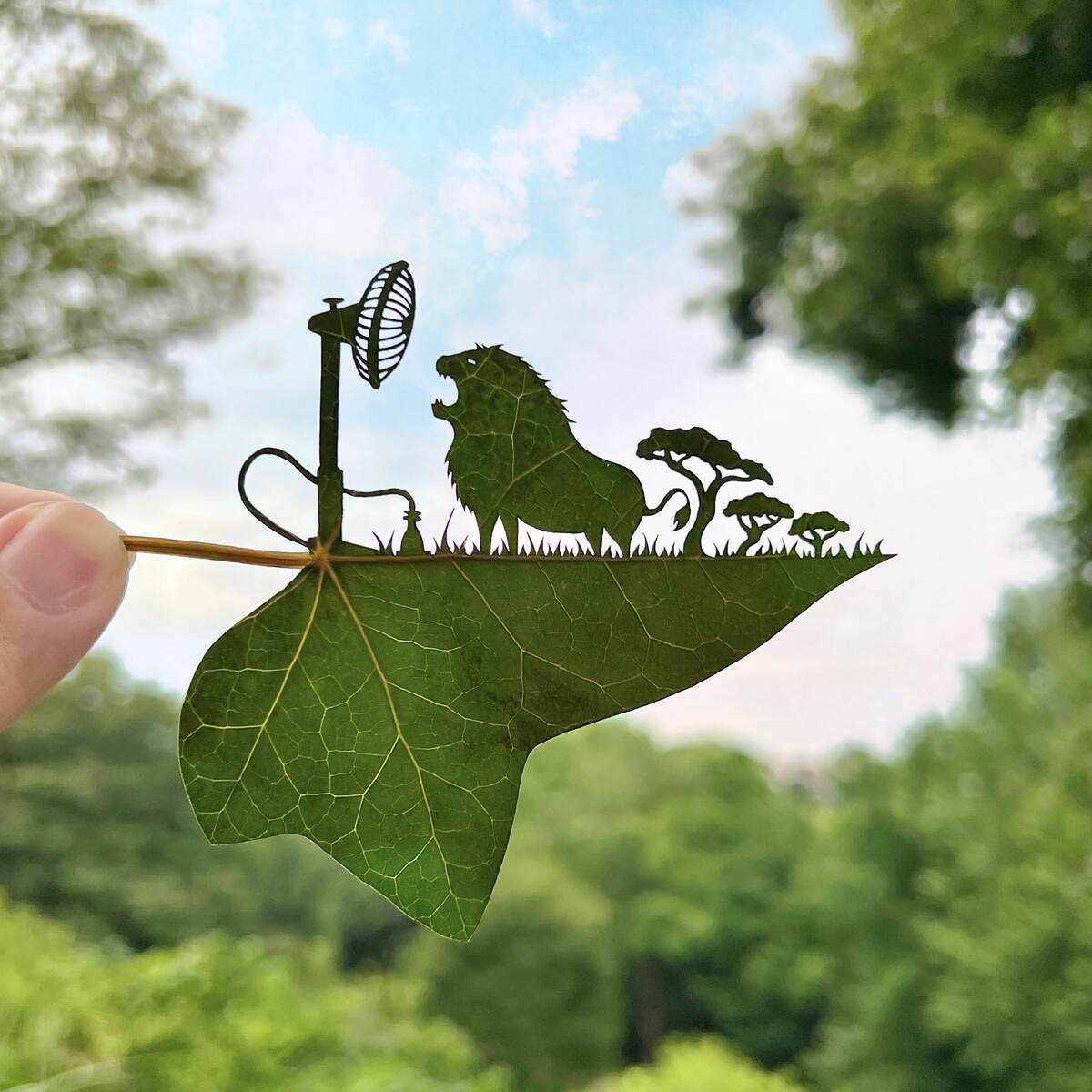��������: lito-leafart.com