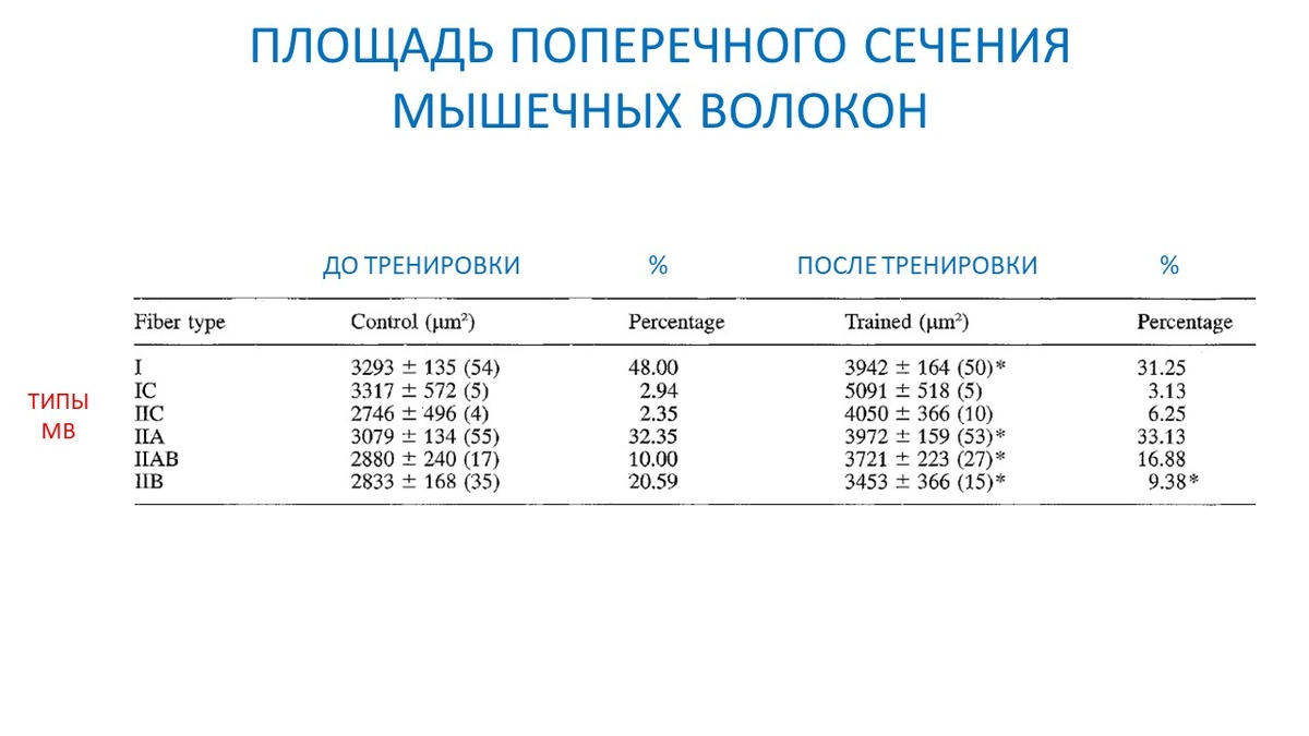 Рисунок 1. Изменение размера и процента распределения мышечных волокон разных типов после эксперимента.