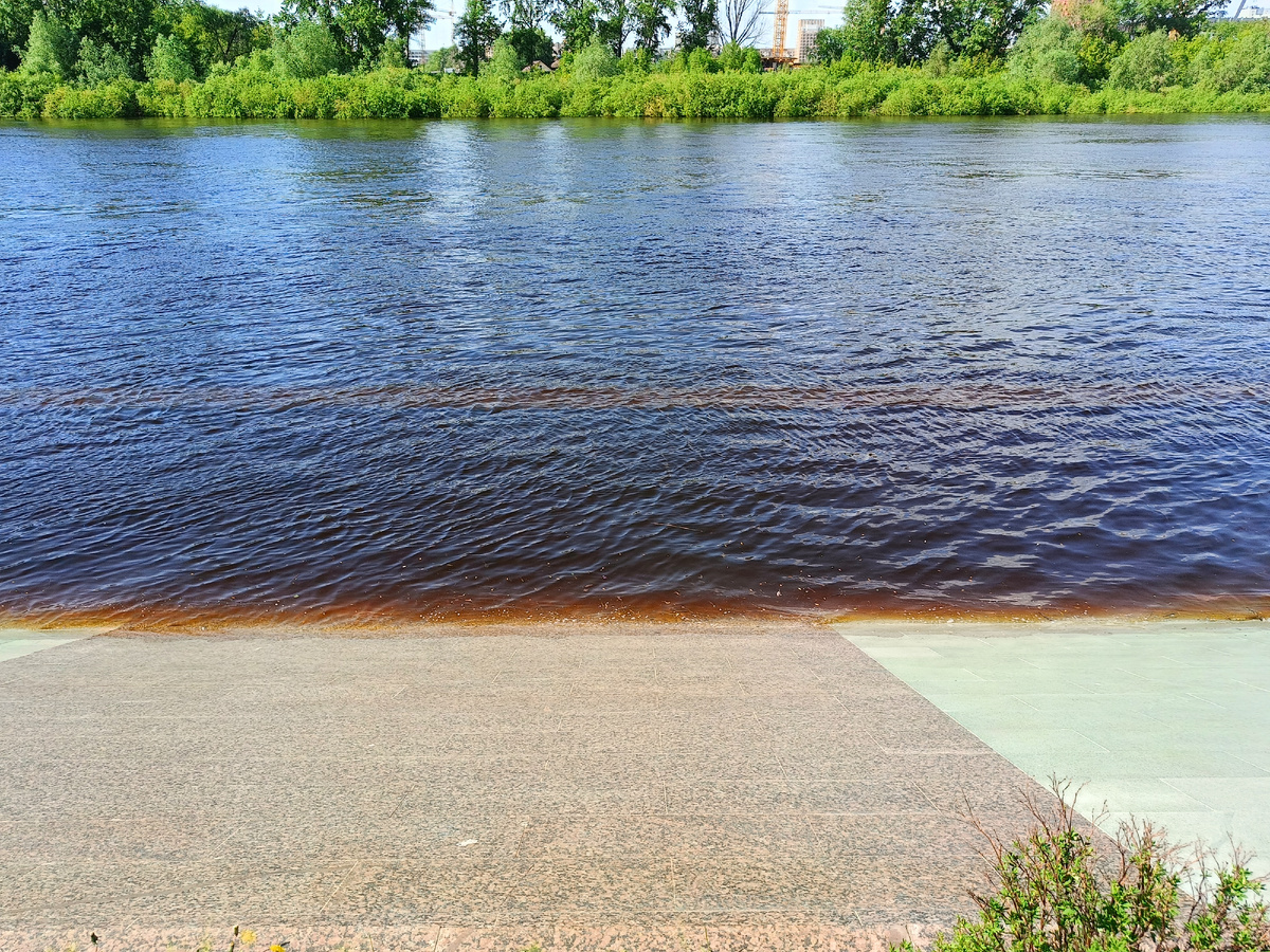 Коричневая полоска