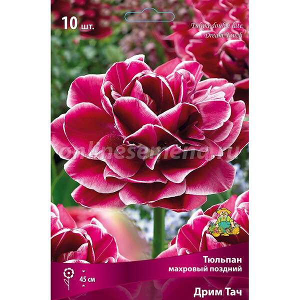 Этикетка Поиска