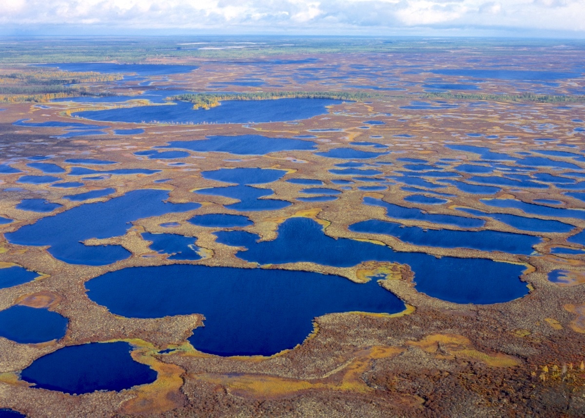 Рельеф ЯНАО. Фото: Александр Джус / GeoPhoto