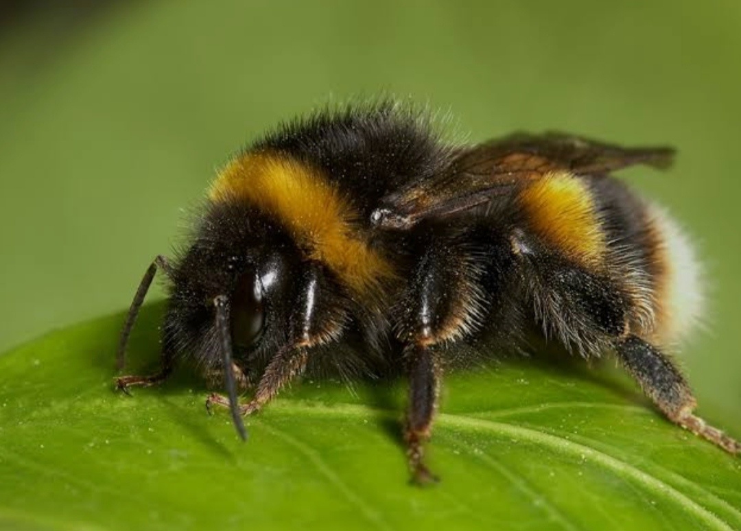 Технологичный