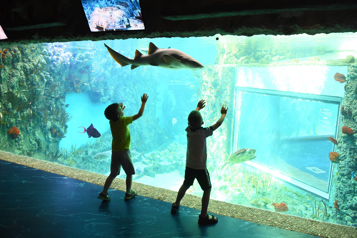 Океанариум Крокус Сити. Фотография организатора