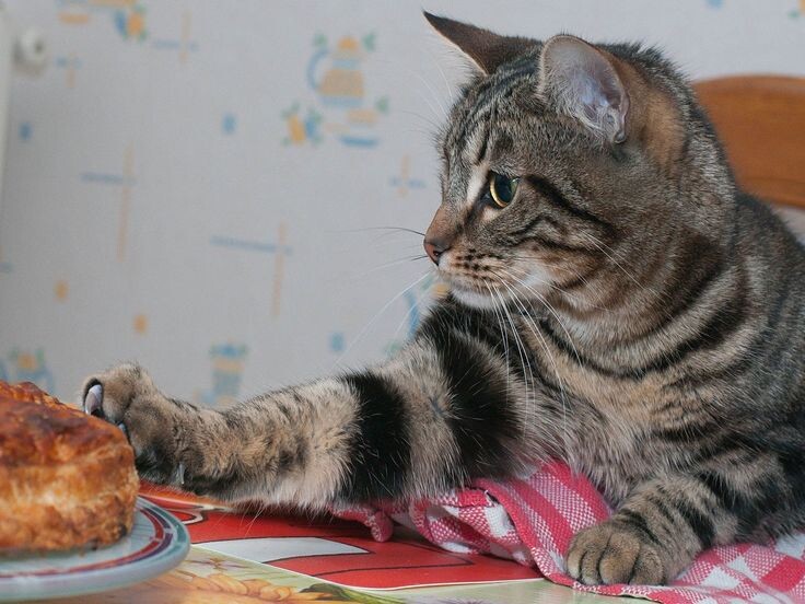 Фото из Интернета.