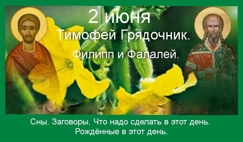 Источник: Яндекс картинки