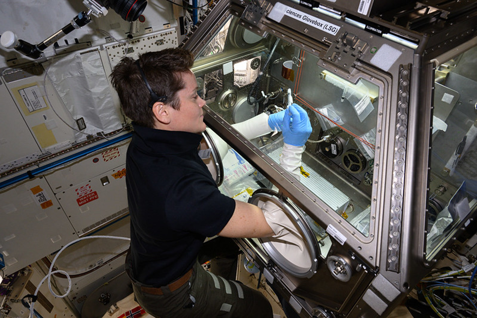 Энн Макклейн работает с образцами в перчаточном боксе LSG. Фото: nasa.blog.com