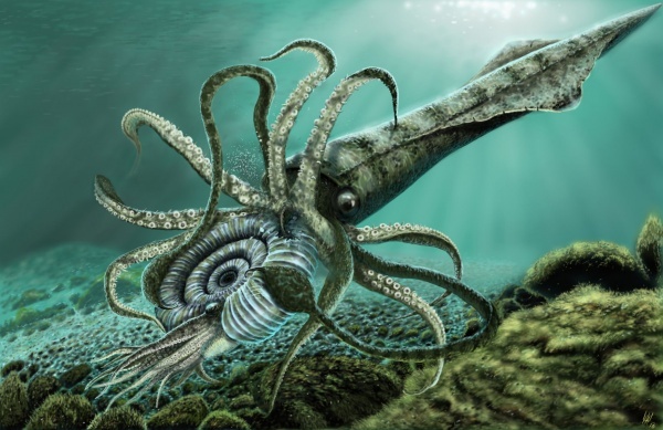 Белемнит напал на аммонита. Картинка с сайта аммонит.ru