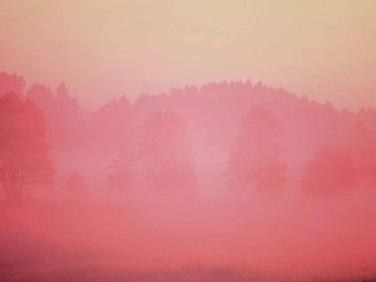 Розовый туман