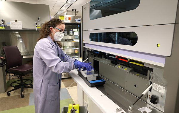 Karen Ducey/Getty Images