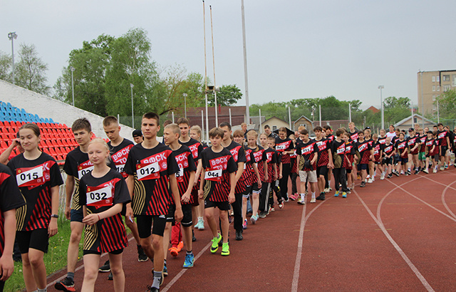 В региональном фестивале ГТО приняли участие 30 команд тверских школьников