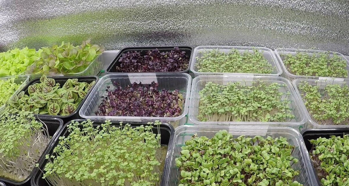 Источник фото: Яндекс.картинки