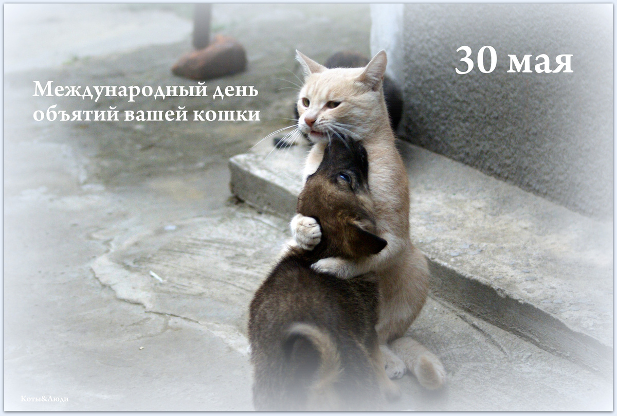 Коллаж автора. Использовано фото: https://fishki.net/4652234-iskusstvo-prosity-prowenija.html