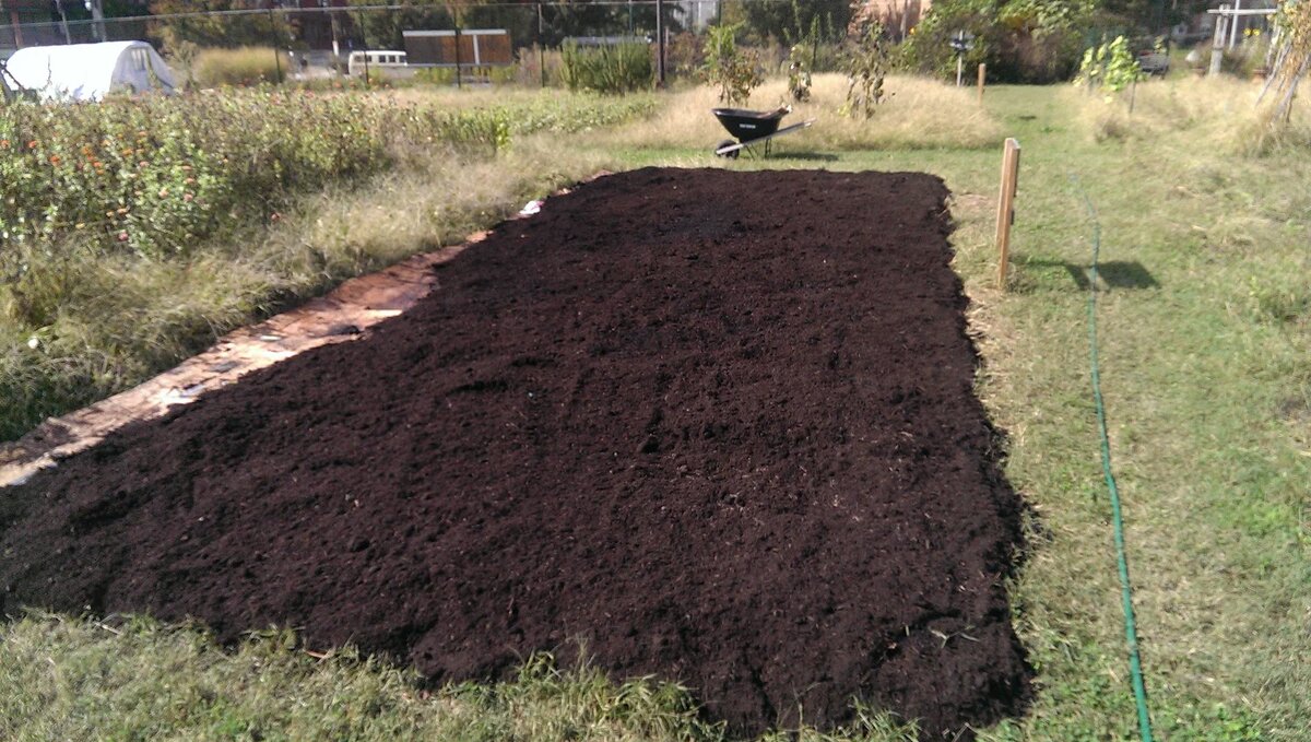 Яндекс картинки