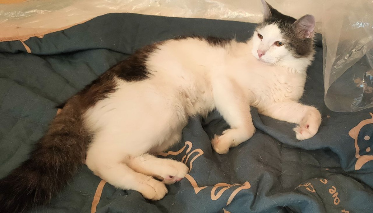 Ты про меня что ли? Ладно, рассказывай интересно!