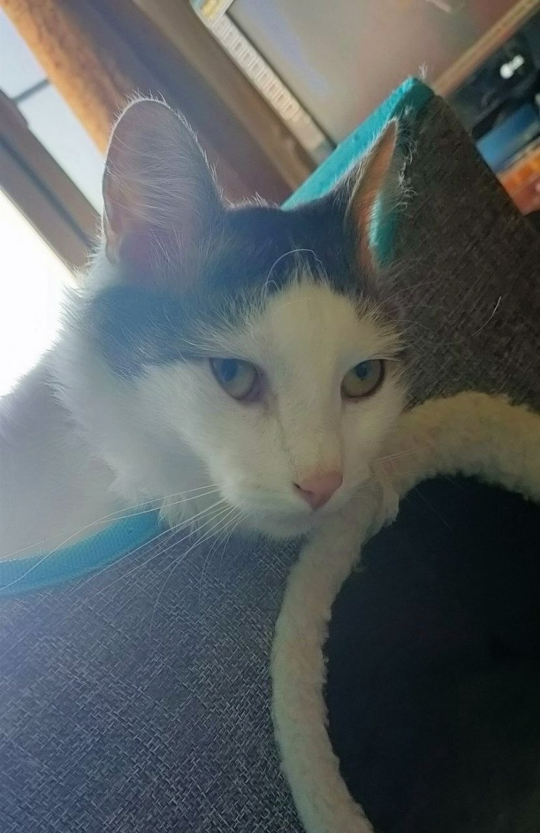 Да вырос я уже!