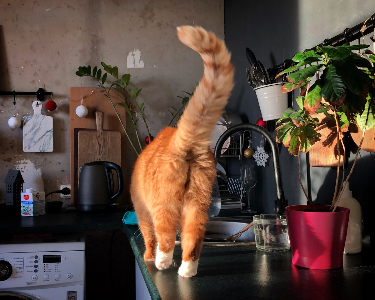 "Вы заехали в 🍑, развернитесь и смените направление"