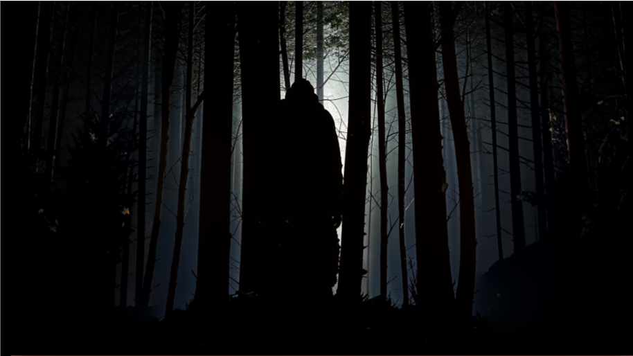 Гиперреалистичный рассказ о цене выбора. Автор: Дмитрий Шумихин.