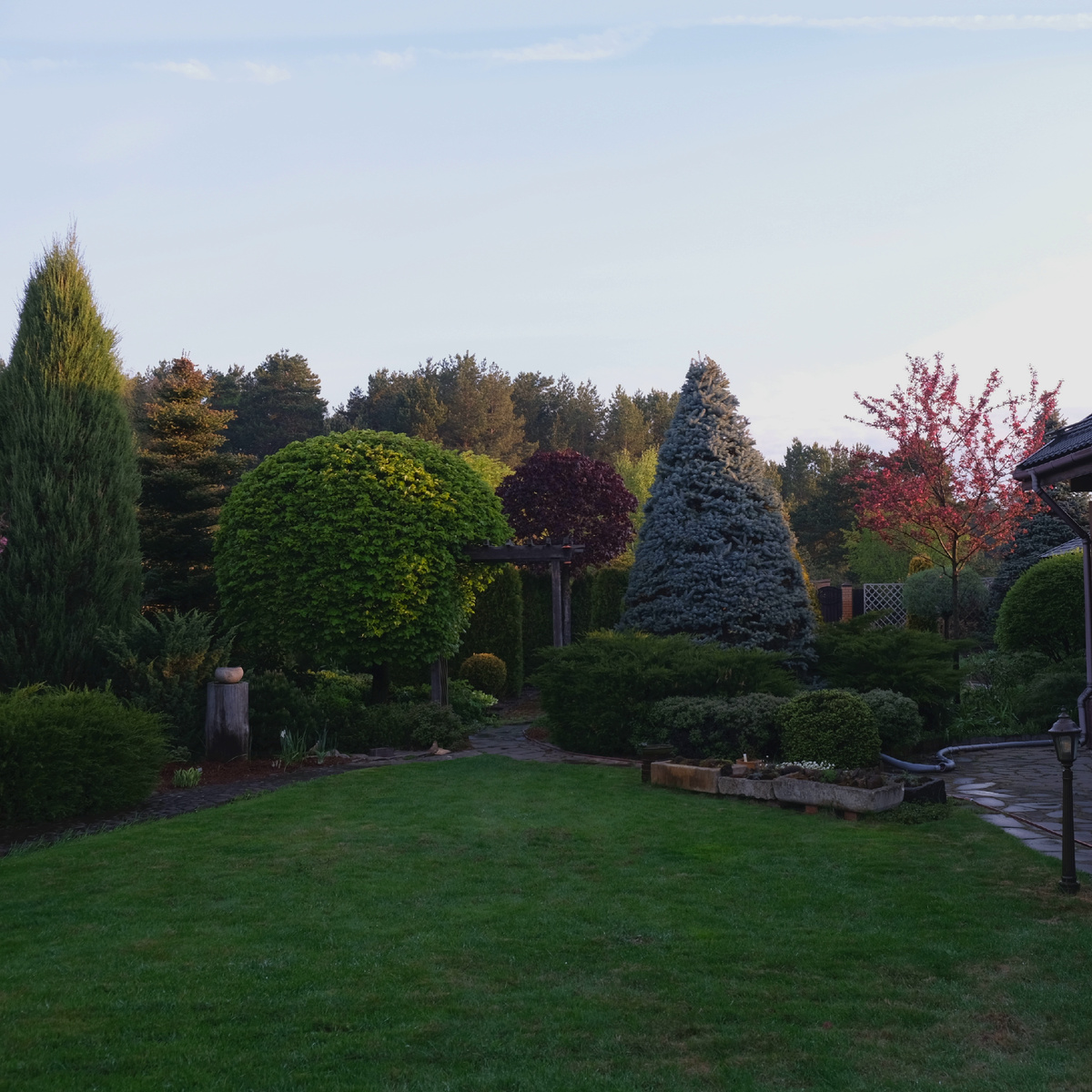 Сад рано утром