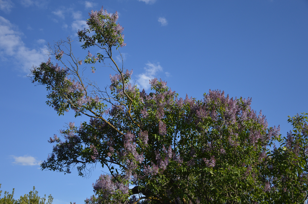 Цепляет облака