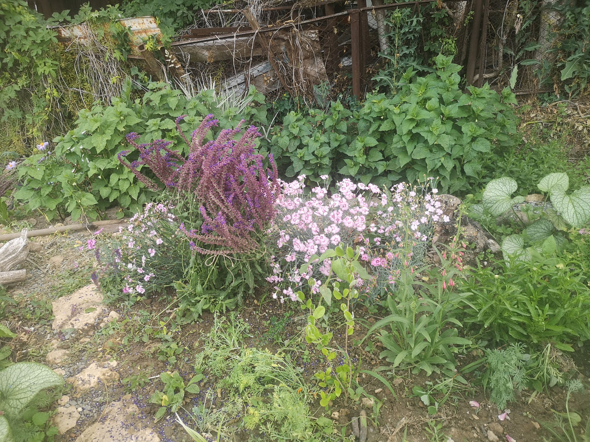 Вон он, на заднем плане у страшного забора