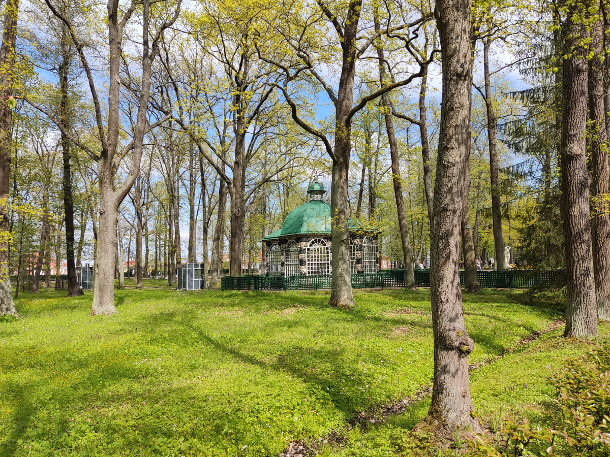 Петергоф, май-2025. Фото автора