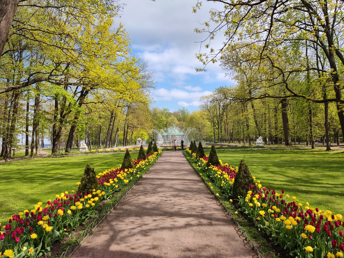 Петергоф, май-2025. Фото автора