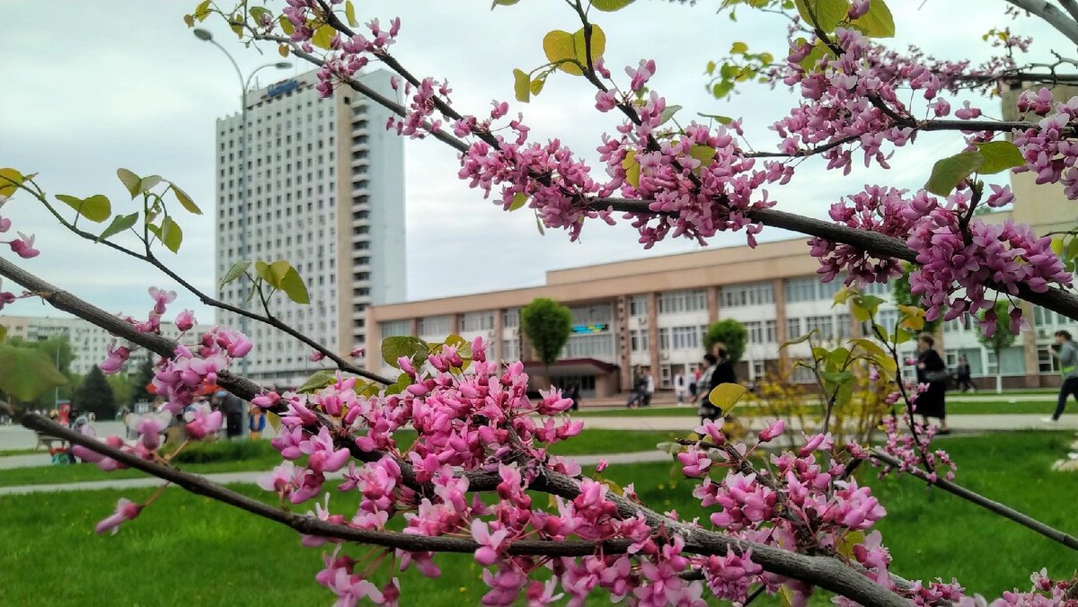 Гостиница « Ахтуба». Город Волжский. Фото автора. 