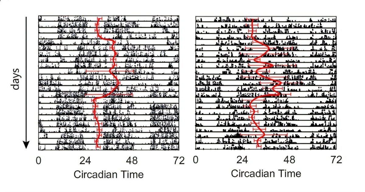   R. Kim et al, npj Digital Medicine (2025) DOI: 10.1038/s41746-025-01678-z