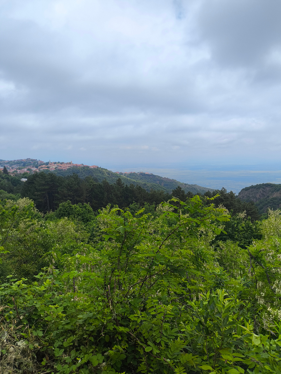 Фото автора. Грузия. Кахетия. Алазанская долина.
