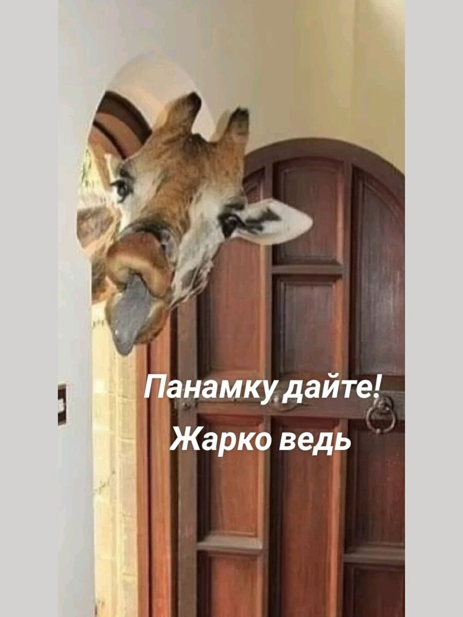 -14