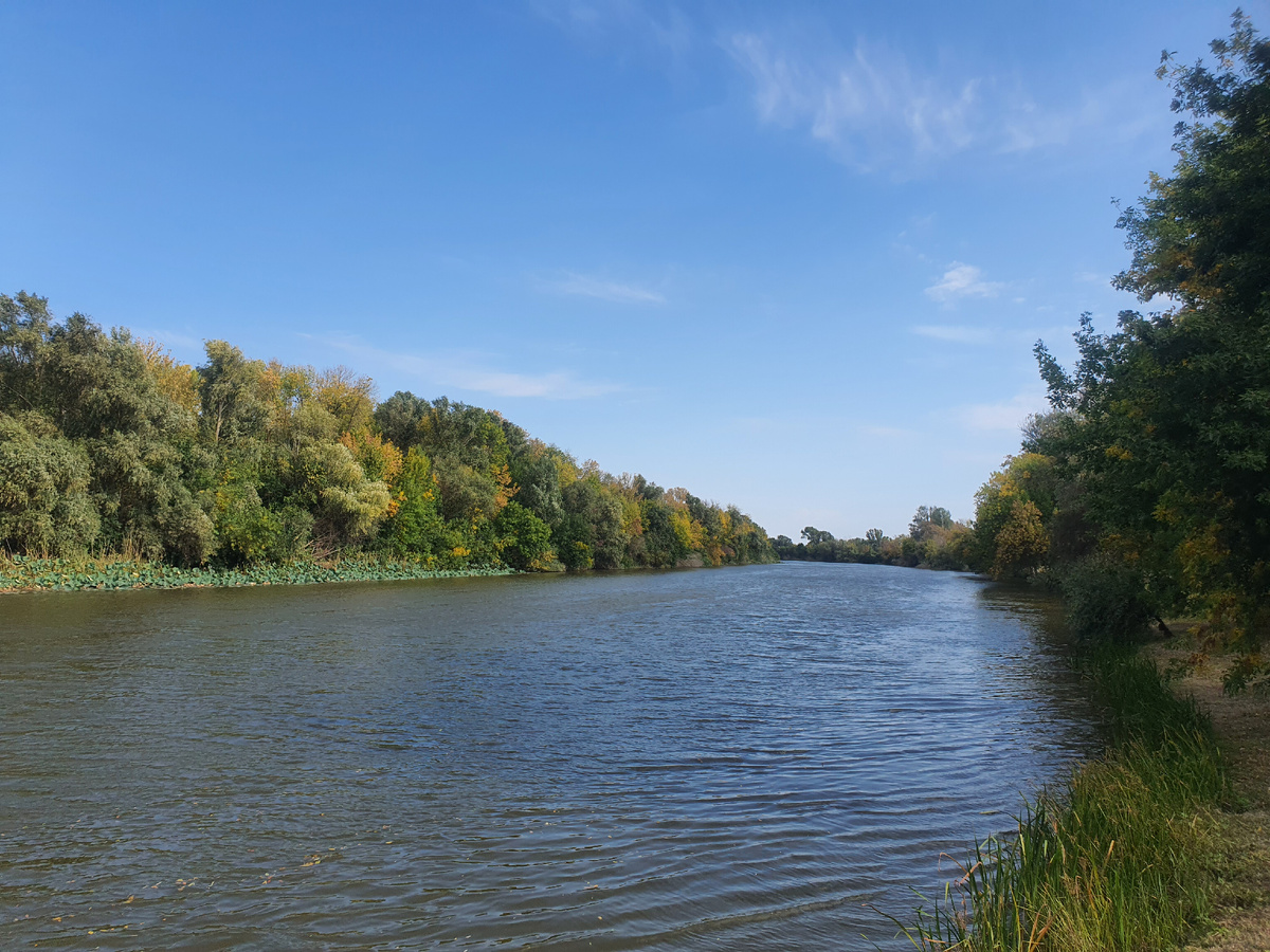 Два берега реки, с которых визжали шакалы. Астраханский заповедник, сентябрь 2024 г. Фото автора. 