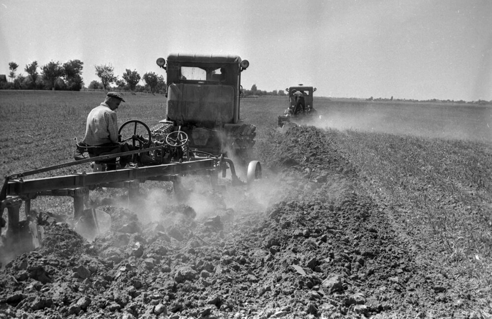    Любое государство, вставшее на путь индустриального развития, сталкивается с тем, что традиционное село гибнет. Фото: РИА Новости/ Ласло Ковач