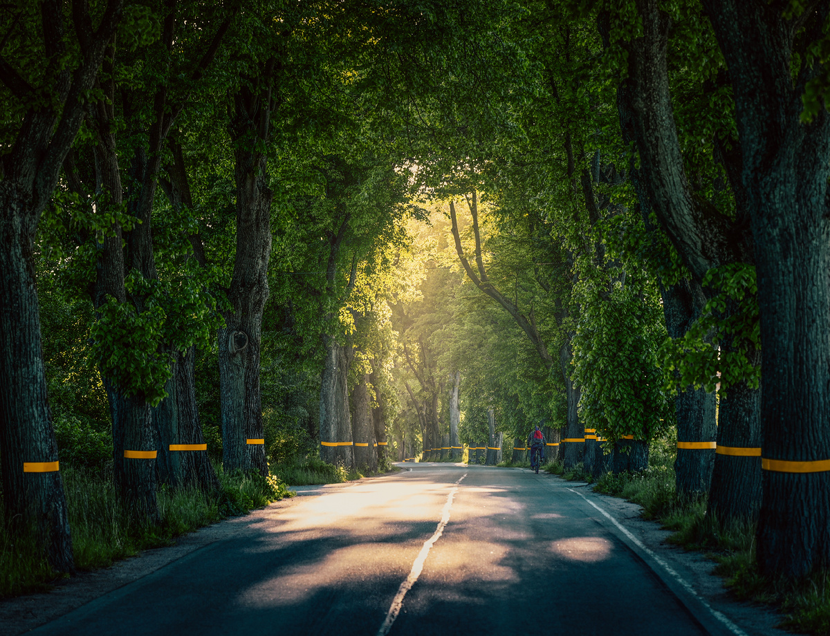 "Последние солдаты Вермахта". Калининградская область. Фото: Михаил Рябинин