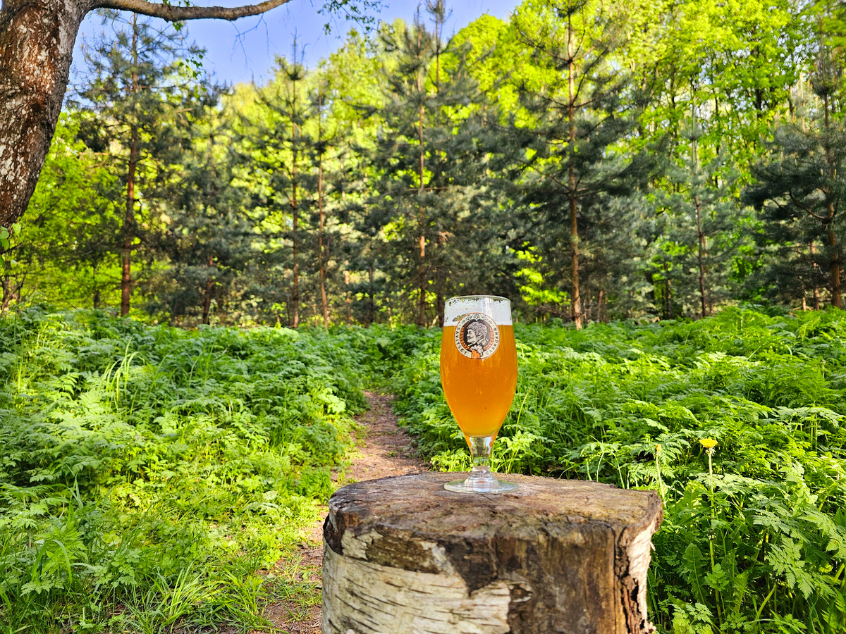 Пиво, фото автора