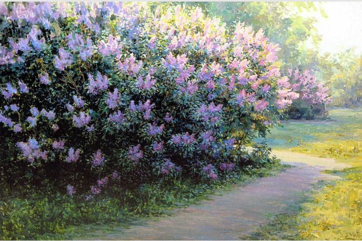 Изображение из открытых источников