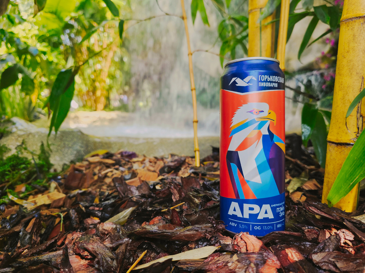 Горьковская APA, фото автора