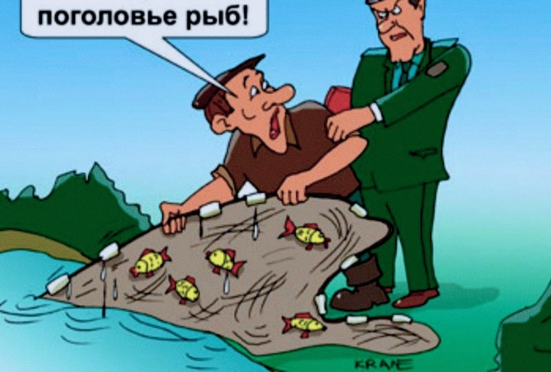 Нет рыбы — нет дела: Верховный суд РФ встал на сторону рыбака.