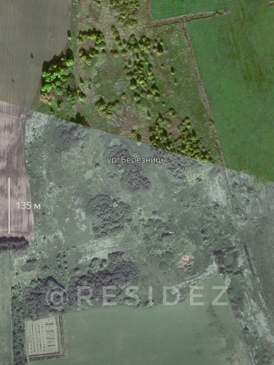 В наши дни - урочище Березницы. Спутниковый снимок 2020 г.