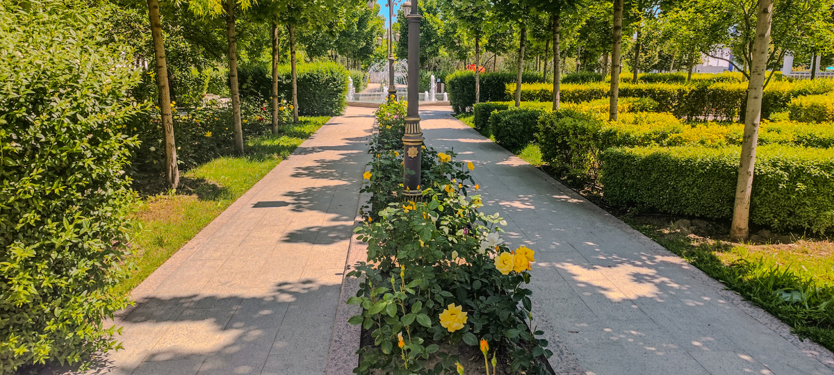 Парк в Шали