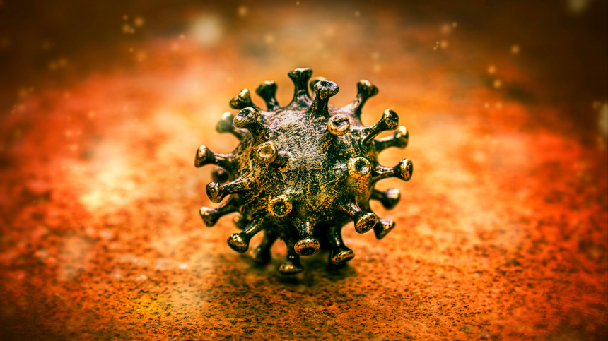    Фото: www.globallookpress.com/CHRISTIAN OHDE via www.imago-ima; 5-tv.ru