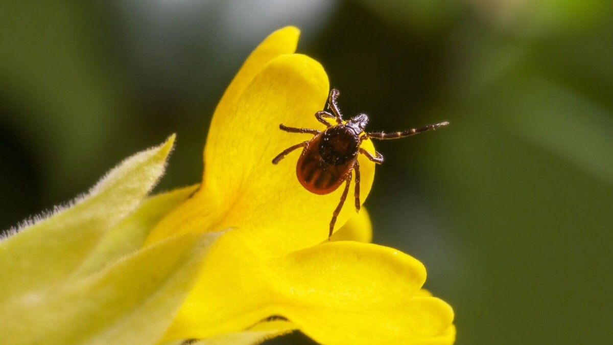     Источник: freepik.com